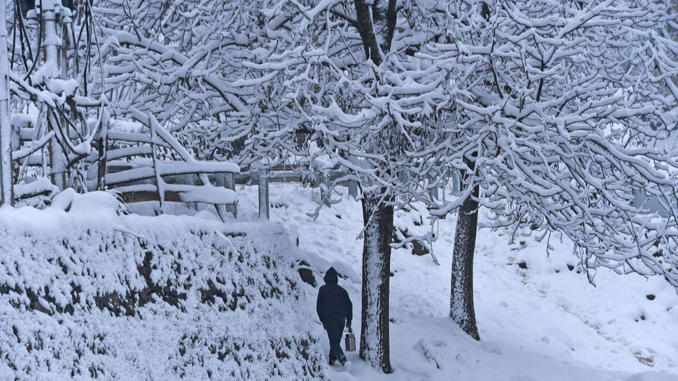 Fresh Snowfall Disrupts Life in Kashmir