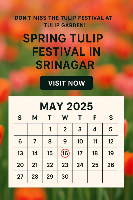 Spring Tulip festival in Srinagar  